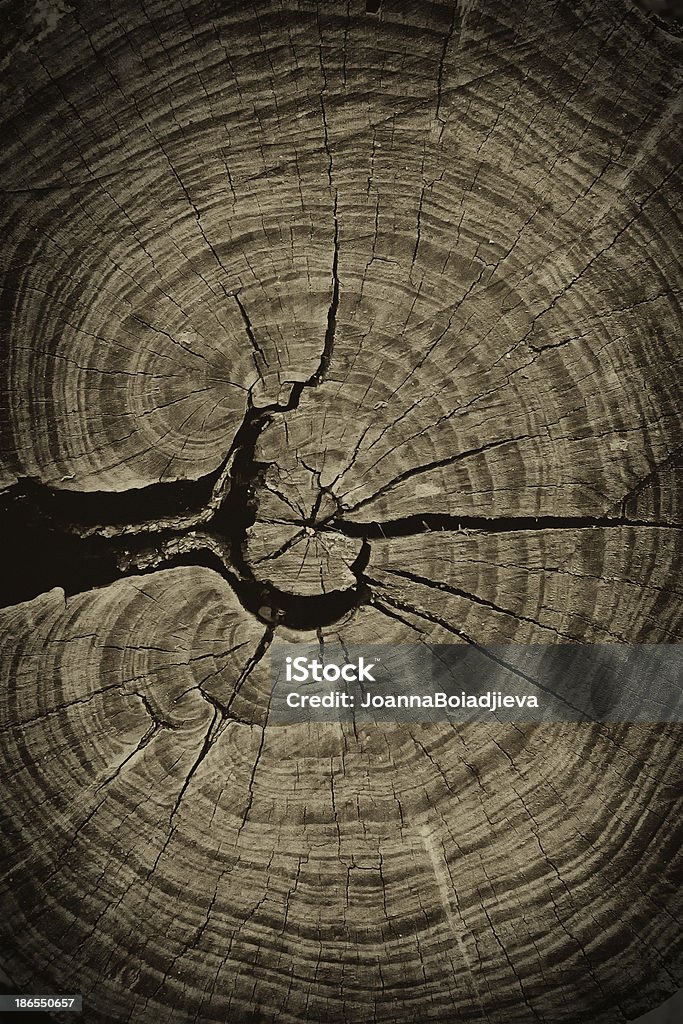 Very old wooden texture or background close up Abstract Stock Photo