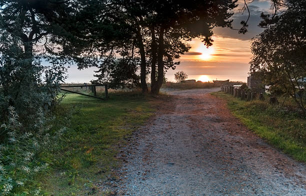 istock Morning view on country road and Baltic sea 186551399