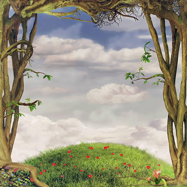 Frames of trees A beautiful woodland scene with trees and grass and space in the centre garden pathway stock illustrations