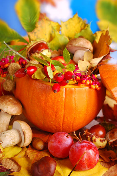 istock autumn harvest in the pumpkin 186554584