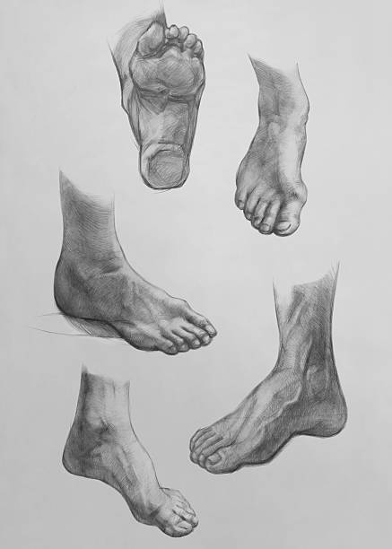 Sketches of Feet vector art illustration