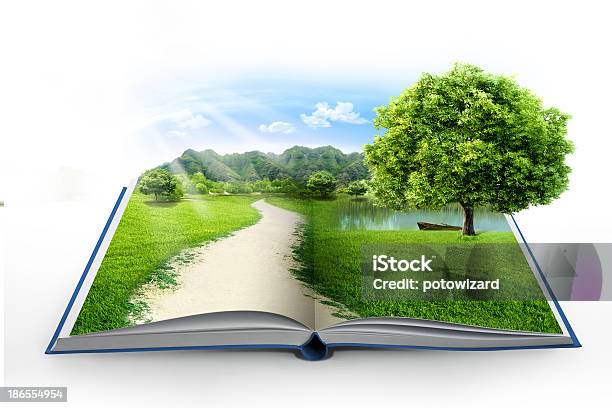 Open Book In Green Grass Over Blue Sky Stock Photo - Download Image Now - Agriculture, Book, Concepts