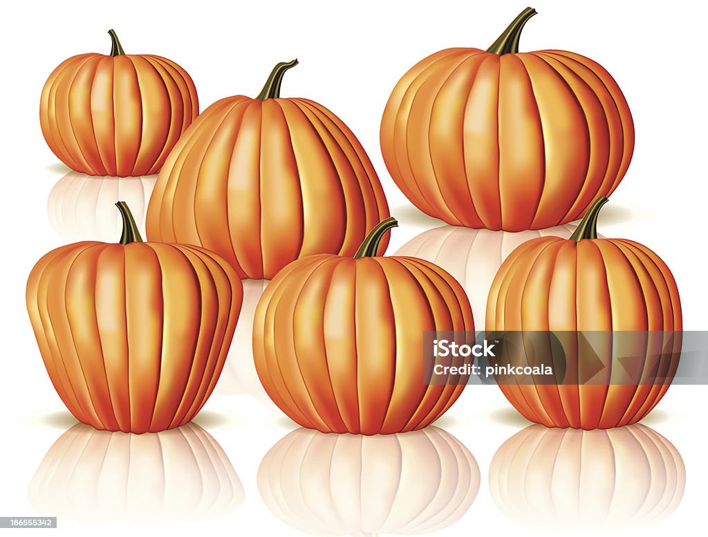 Piccoli e grandi pumpkins - arte vettoriale royalty-free di Agricoltura