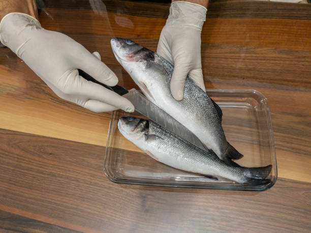 Man in gloves cleaning fish with a knife in the kitchen.