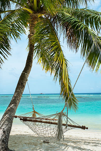 istock Vacation paradise in the Maldives (Lhaviyani Atoll) 186558294