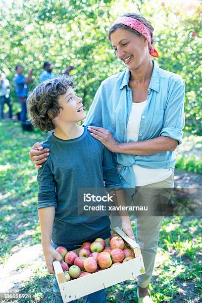 Mutter Und Sohn Im Orchard Stockfoto und mehr Bilder von 10-11 Jahre - 10-11 Jahre, 45-49 Jahre, Agrarbetrieb
