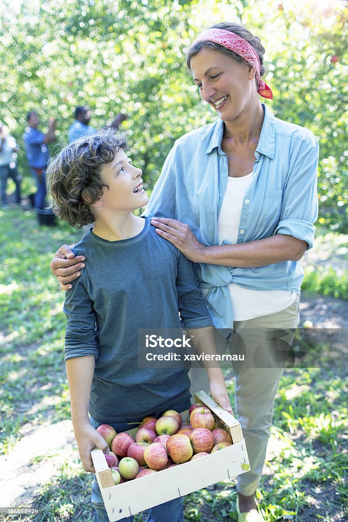 母と息子の果樹園 - 10歳から11歳のロイヤリティフリーストックフォト