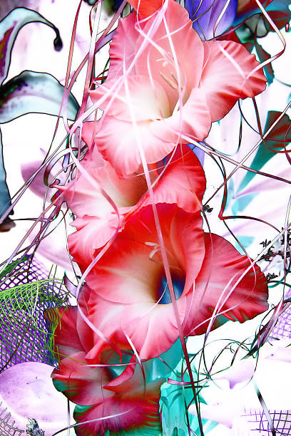 istock beautiful bouquet of pink gladioluses, abstract 186559413