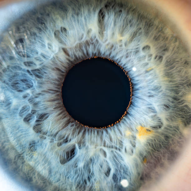 istock Male Blue Colored Eye With Long Lashes Close Up. Structural Anatomy. Human Iris Wide Open. Super Close Macro Detail. 1865595656