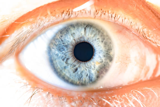 istock Male Blue Colored Eye With Long Lashes Close Up. Structural Anatomy. Human Iris Macro Detail. 1865595665