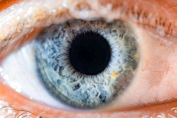 istock Male Blue Colored Eye With Long Lashes Close Up. Structural Anatomy. Human Iris Wide Open. Macro Detail. 1865595677