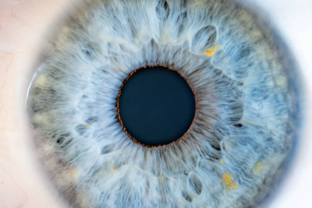 istock Male Blue Colored Eye With Long Lashes Close Up. Structural Anatomy. Human Iris Super Close Macro Detail. 1865595678
