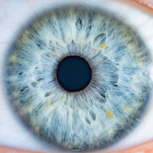 istock Male Blue Colored Eye With Long Lashes Close Up. Structural Anatomy. Human Iris Super Close Macro Detail. 1865596081