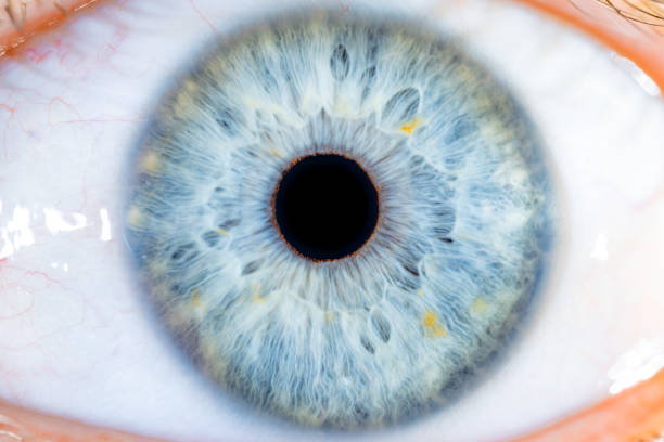 istock Male Blue Colored Eye With Long Lashes Close Up. Structural Anatomy. Human Iris Macro Detail. 1865596194