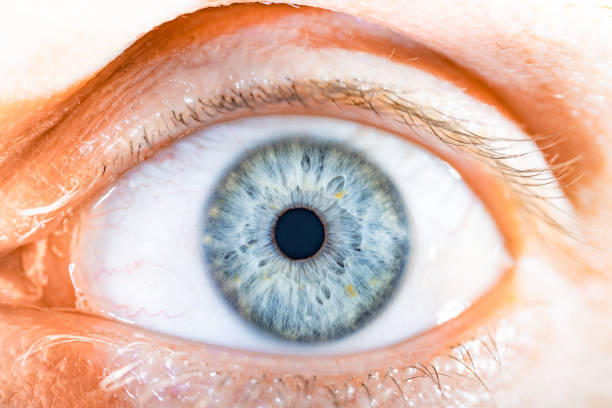 istock Male Blue Colored Eye With Long Lashes Close Up. Structural Anatomy. Human Iris Macro Detail. 1865596208