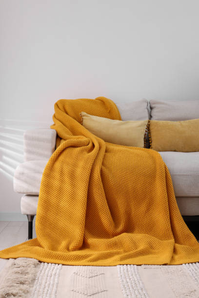 istock Cozy orange plaid on sofa in room 1865600403