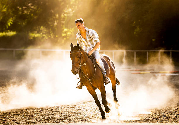 istock Man horseback riding at sunset. 186560952
