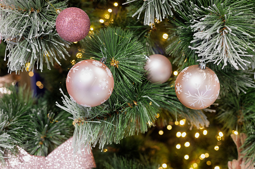 Christmas balls on branches of an evergreen tree