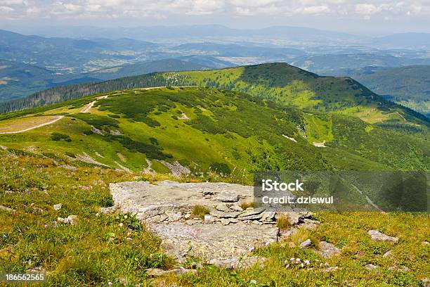 Photo libre de droit de Salle La Babia Gora Montagnes Pologne banque d'images et plus d'images libres de droit de Admirer le paysage - Admirer le paysage, Arbre, Au-dessus de