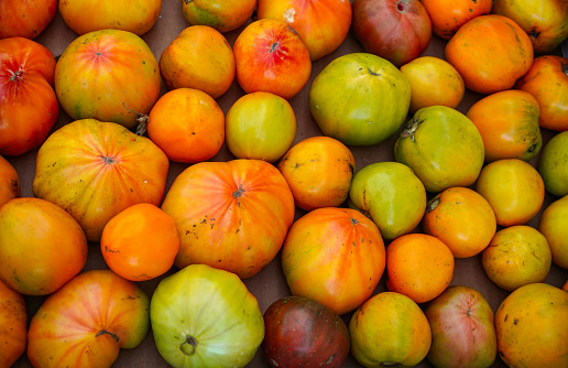 close up on colorful tomato as food background