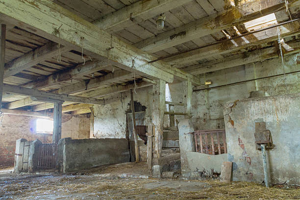 istock The old wooden abandoned barn on Vistula delta 186563016