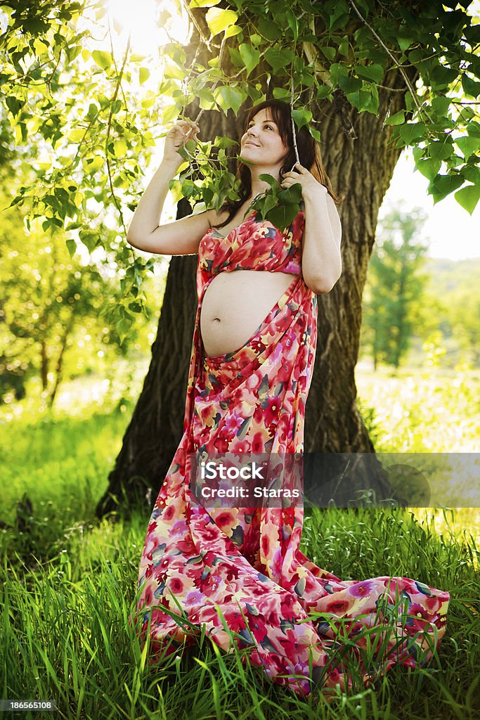 Linda mulher grávida - Foto de stock de 25-30 Anos royalty-free
