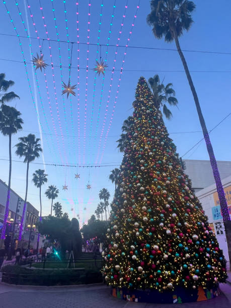 istock Christmas Tree in Santa Monica US 1865659275