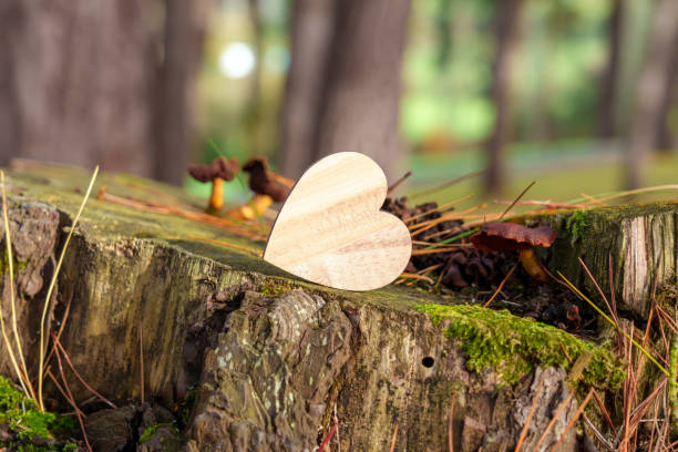 Graphic pattern on the wood cut. Symbol of the heart on the tree. Black and white.