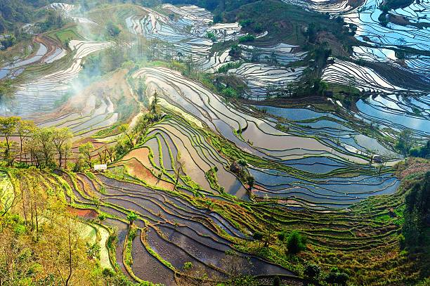 istock Colorful land-Yuan yang Hani terrace 01 186566361