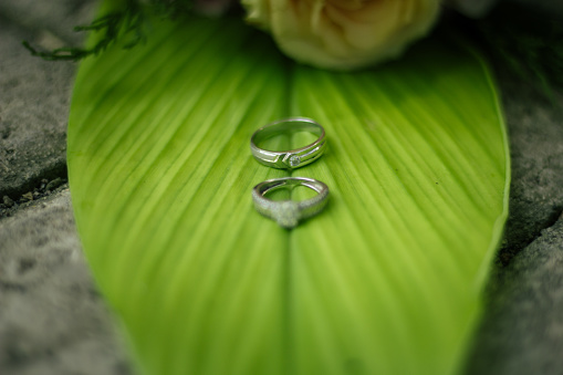 Pair of wedding rings on outdoor leaves. Wedding rings on leaves. Wedding ring and bouquet of roses