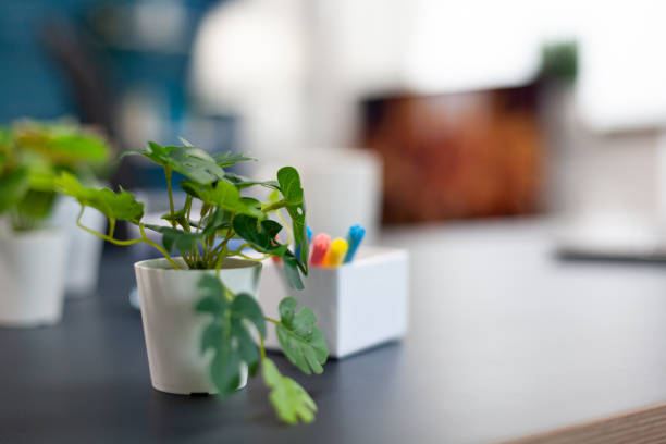 Small flowers on office desk in empty apartment. Cozy home living room with nobody in it with beautiful interior design.