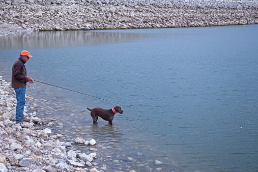 Fly fisherman fishing for trout in Canyon Ferry Reservoir near Dillon, MT, just below the dam. German wire-hair pointer pointing the fish.