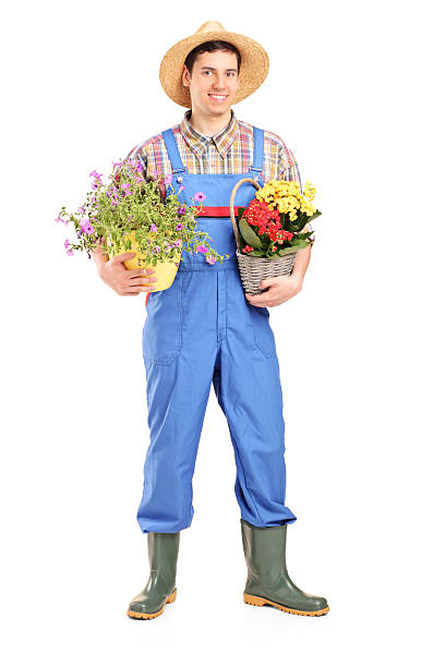 istock Male gardener holding plants 186570885