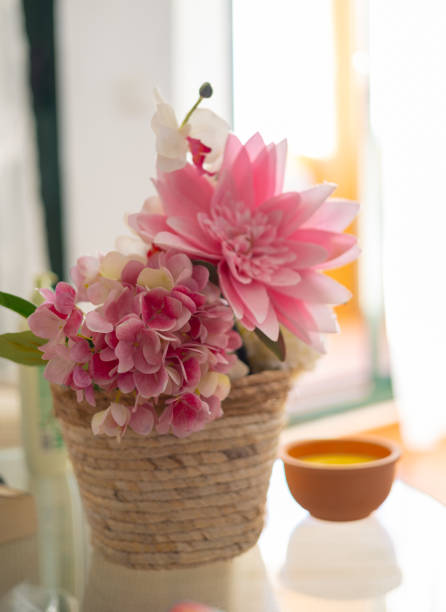 istock pink and white plants in decorative pot 1865717784