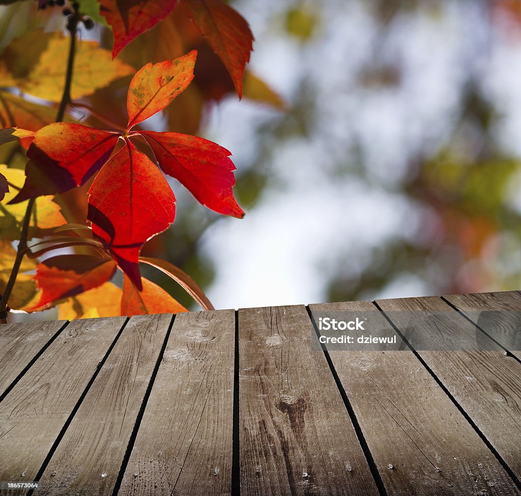 Otoño tema y Tabla deck de madera vacía - Foto de stock de Agrimensor libre de derechos