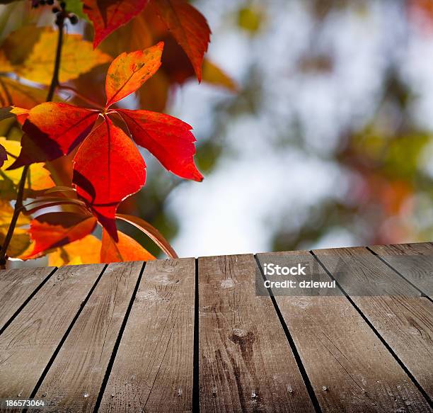 Otoño Tema Y Tabla Deck De Madera Vacía Foto de stock y más banco de imágenes de Agrimensor - Agrimensor, Amarillo - Color, Arte