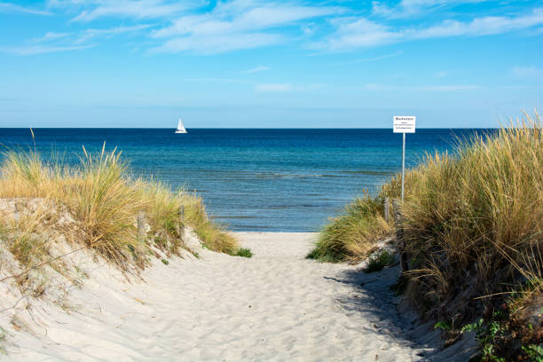 istock Path between the sand dunes overlooking the sea and a  ship 1865733140