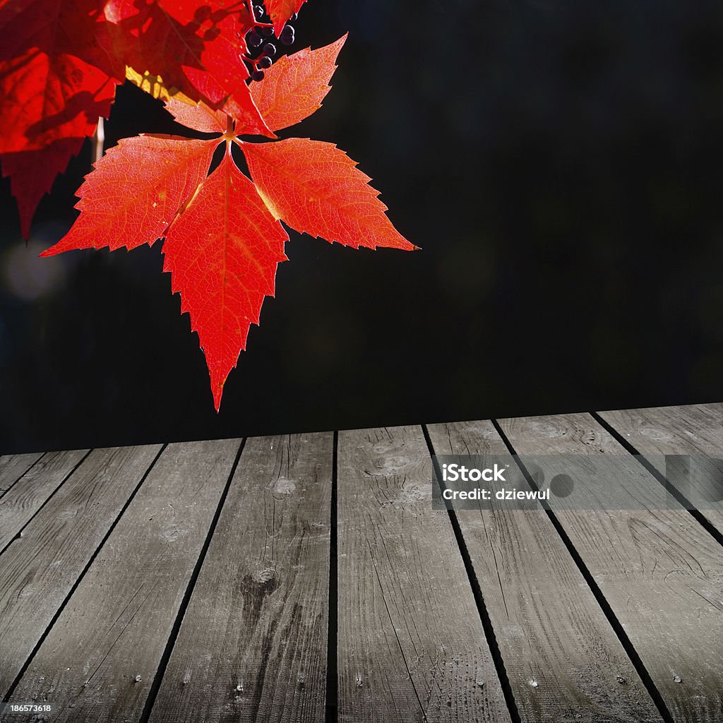 Jesień theme i pusty drewnianym pokładem Tabela - Zbiór zdjęć royalty-free (Bluszcz)