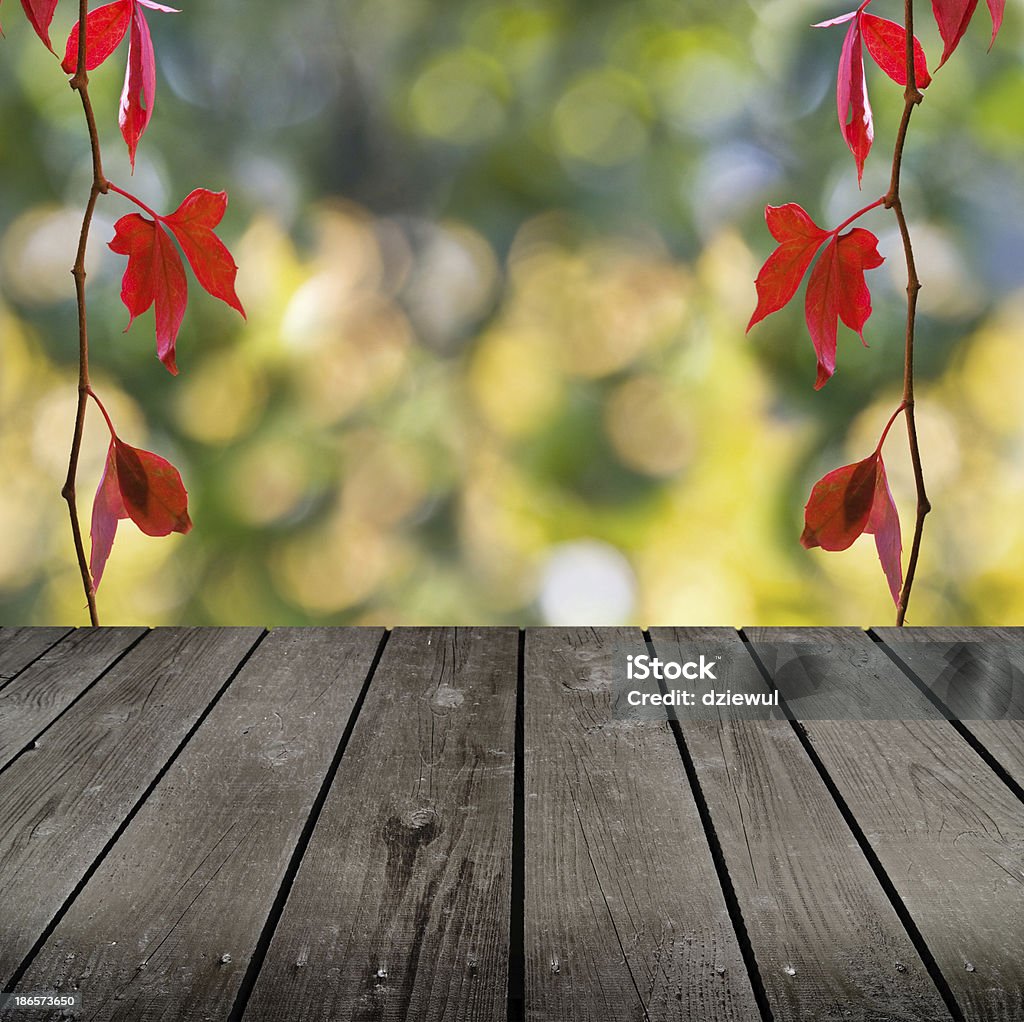 秋のテーマと空の木製デッキのテーブル - つる草のロイヤリティフリーストックフォト