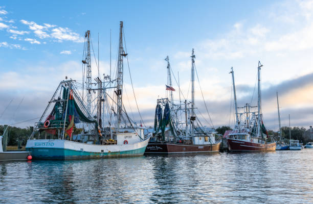 istock Charleston Shrimp Boats 1865749789