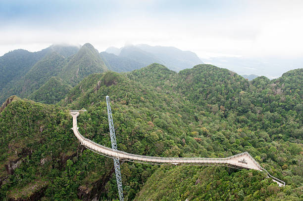 langkawi une passerelle - tropical rainforest elevated walkway pulau langkawi malaysia photos et images de collection