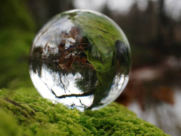 istock Mossy woodland lens ball 1865763758