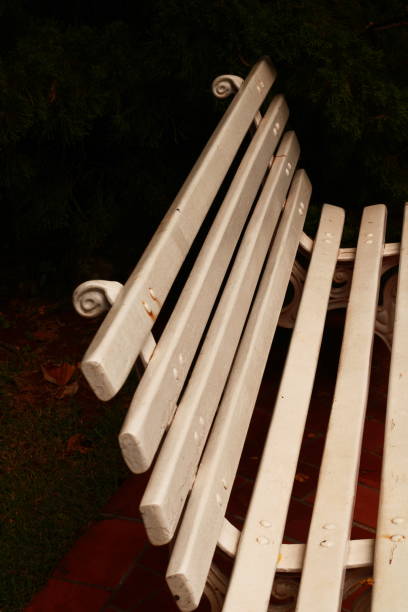 istock White Wooden Bench in Garden 1865766878