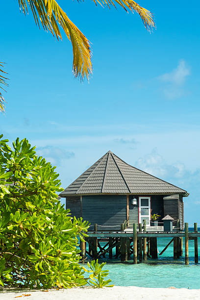 istock Holidays in the Maldives (bungalows on water) 186578000