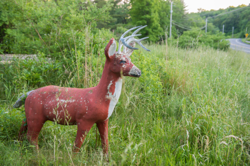 This is a horizontal color photograph of an old deer lawn sculpture in an abandoned, overgrown yard.