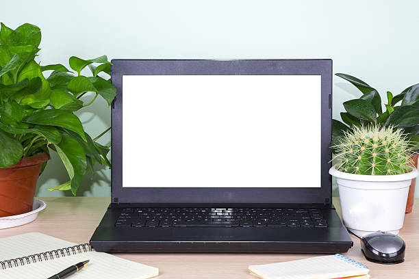 istock Open laptop plants and spiral notebooks on a light desk 186579258