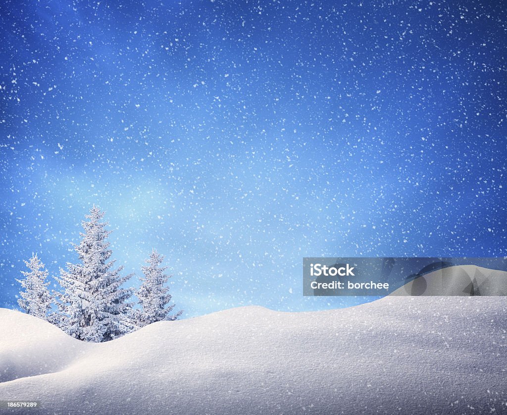 Winter Landscape Idyllic winter scene: group of pine trees covered with snow on a snowy winter day. Arctic Stock Photo