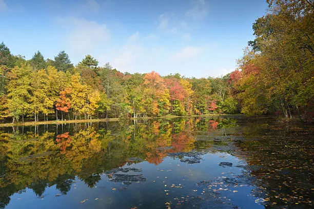 Photo of Fall Colors at Lake in Pocono Pennsylvania