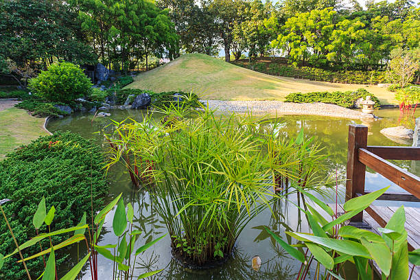 пруд и вода пейзаж в японский сад - lotus japan water lily vegetable garden стоковые фото и изображения