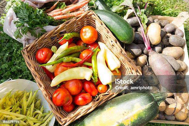 Vegetales Sanos Granja Ecológica Foto de stock y más banco de imágenes de Agricultura - Agricultura, Aire libre, Alimento